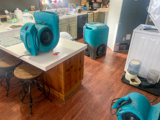 Best 24/7 water damage repair  in Creedmoor, NC