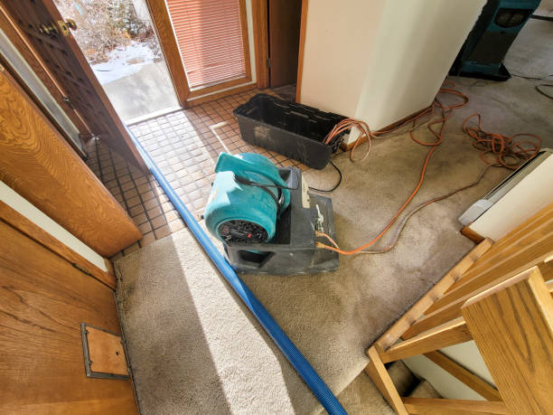 Water damage restoration mold remediation in NC