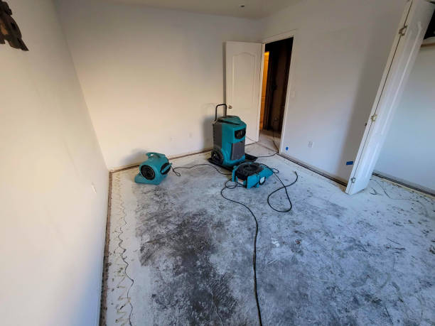 Best Water damage restoration mold remediation  in Creedmoor, NC