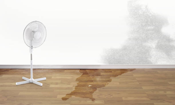 Best Water damage restoration near me  in Creedmoor, NC