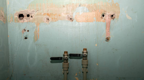Best Water damage restoration near me  in Creedmoor, NC
