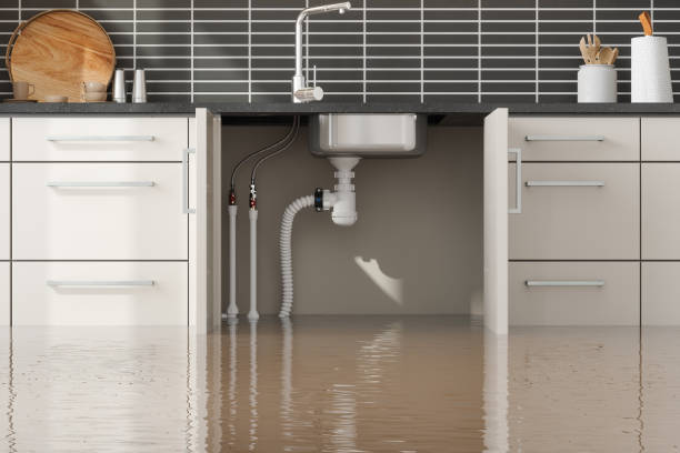 Best Carpet water damage restoration  in Creedmoor, NC