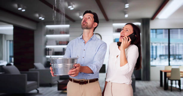 Best Water damage restoration insurance claims  in Creedmoor, NC